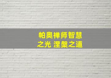 帕奥禅师智慧之光 涅槃之道